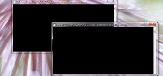 avg black window.jpg