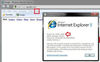 IE8.jpg