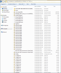 Temp folder.PNG