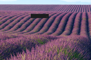 windows-desktop.png