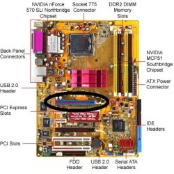 test__p5nsli-1.jpg