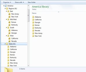 america library.jpg