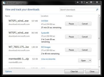 IE9 Download Manger View Screen.jpg
