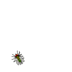 Fly_W7U64.gif