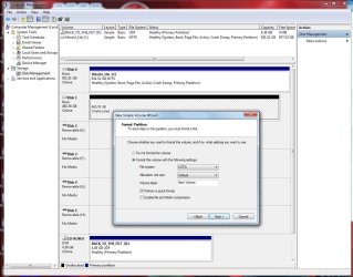 Disk_Mgmt_New_HD_500gb_WD_Format_Partition.JPG