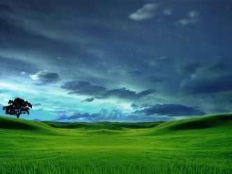 GrassyCleanTree.jpg