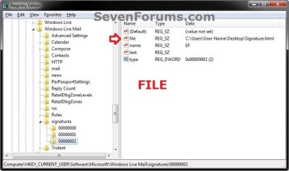 File-1.jpg