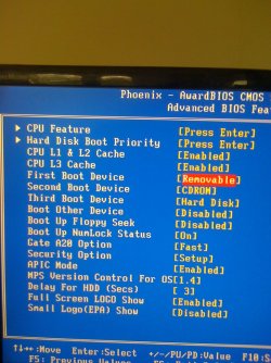 BIOS - Advanced BIOS Features.jpg