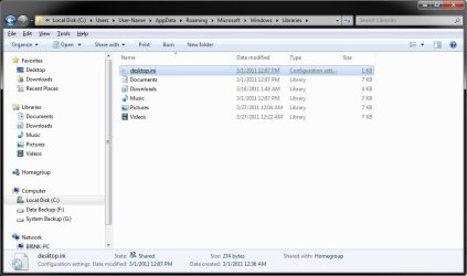 desktop.ini_File.jpg
