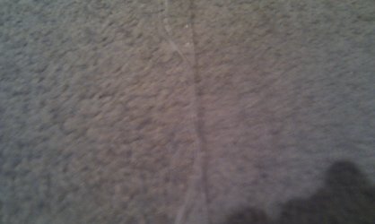 IMAG0029.jpg
