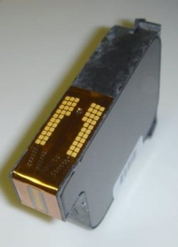 W2.jpg