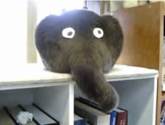 elecat.png