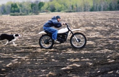 img001.jpg img001.jpg