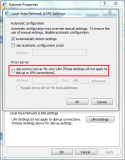 IE Lan Settings.PNG