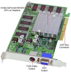 P56-2630COUT.jpg