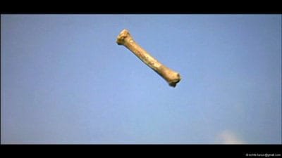 bone.jpg bone.jpg