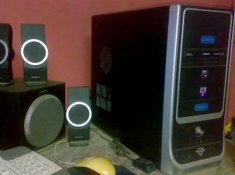 20110318100.jpg