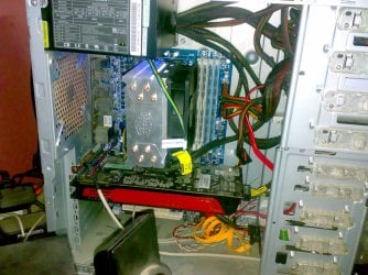 20110318101.jpg