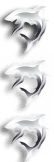 Shark.png Shark.png