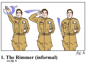 Red_Dwarf___Rimmer_salute_by_squirminator2k.jpeg