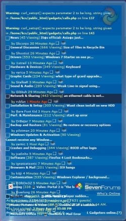 SevenForums Gadget Not Working.JPG