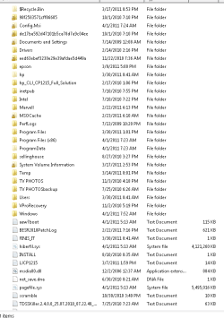norton.PNG