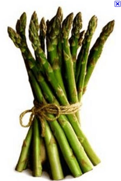 asparagus.PNG