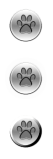 Silver Paw 2.png