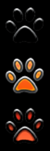Ciara's Paw.png