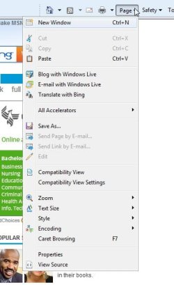 ie_menu.jpg