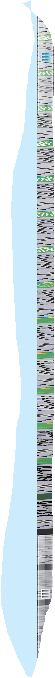 chromebadscroll.PNG
