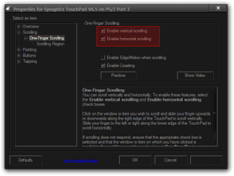 Properties for Synaptics TouchPad V6.5 on PS2 Port 3.png