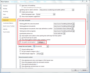 Word Settings.PNG Word Settings.PNG