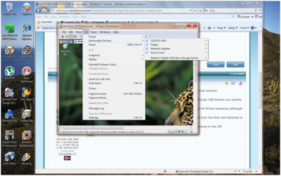 vmpic2.png