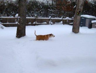 DSCF1220.JPG