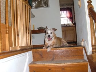 DSCF1305.JPG