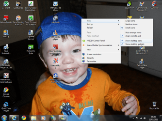 Show Icons.PNG