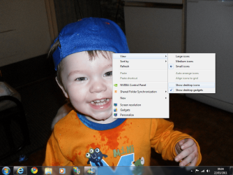 Hide Icons.PNG
