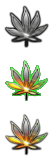 potstart.png potstart.png