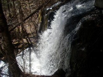 DSCN1405.jpg