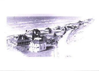 Whole Image 001.jpg