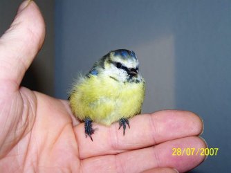 100_0118.JPG