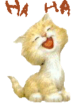 laughing cat.gif