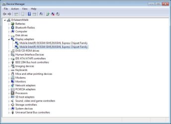 device manager two vga.JPG