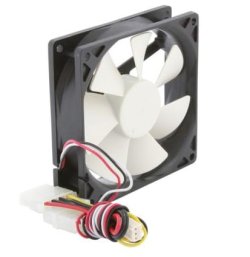 Fan 1.jpg