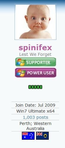 spinifex_1003_posts.JPG
