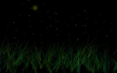 7 Grassland.jpg