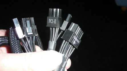 P1020124.jpg