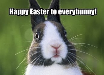 happy-easter-bunny[1].jpg