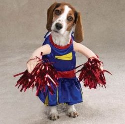 cheerleader dog.JPG